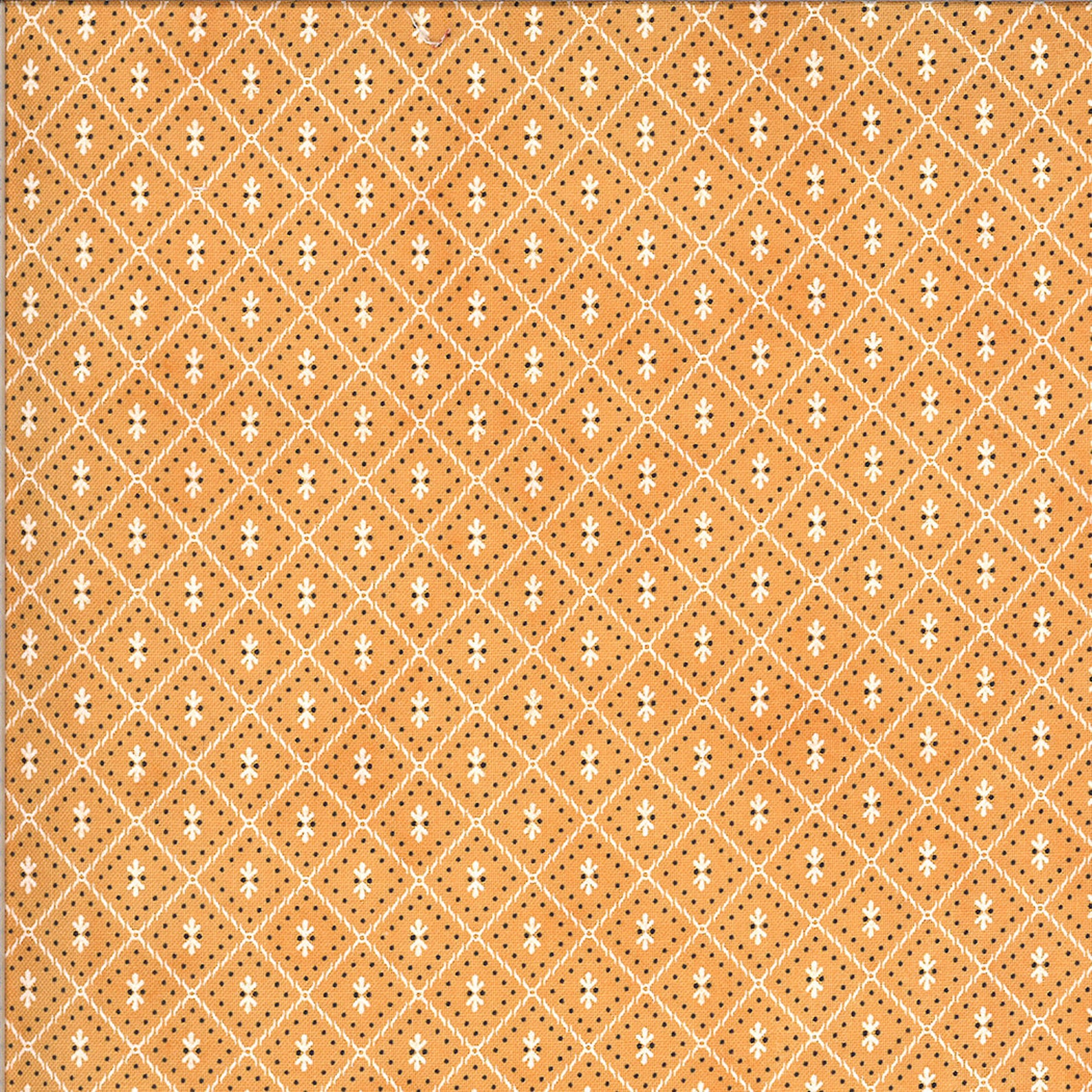 Fig Tree Fabric -figs and Shirtings Charm Pack - Etsy