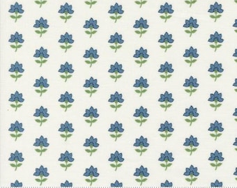 Camille Roskelley - Shoreline Cream Multi 55301 11  - Coastal Florals