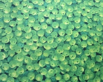 Moda - Fresh Picked Summer Green 32833 12 - Great for I Spy Quilt