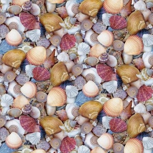 May include: A close-up view of a collection of seashells in various shapes, sizes, and colors. The shells range from light tan to deep brown, with some featuring pink and white hues. The arrangement creates a textured, natural pattern.