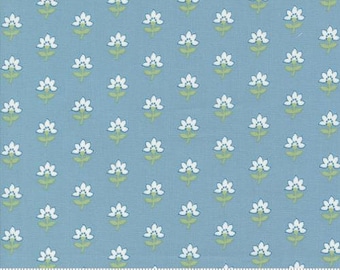 Camille Roskelley - Shoreline Light Blue 55301 12  - Coastal Florals