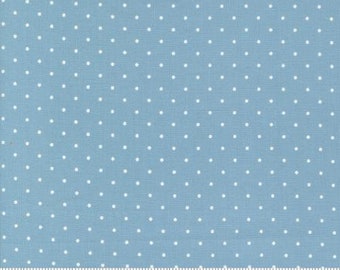 End of Bolt 21 Inches - Camille Roskelley -  Shoreline Light Blue 55307 12 - Dot Dots