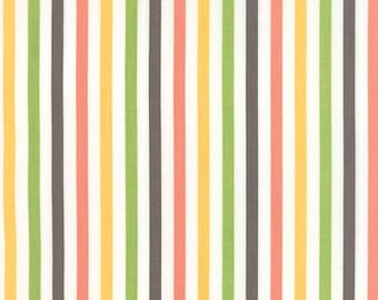 Moda - Prairie 1/4 Inch Stripe - Multi 29006 11