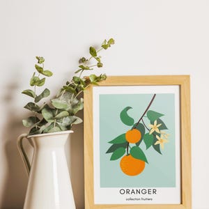 Póster de naranjo, póster imprimible, naranja, decoración de pared, estilo de vida, ilustración de frutas