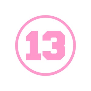 NUMBER 13 Pink Round Circle Vinyl Window Decal