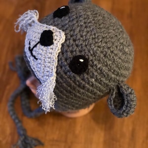 Sea Otter Hat, Crochet Sea Otter Hat, Crochet Otter Hat, Otter Beanie