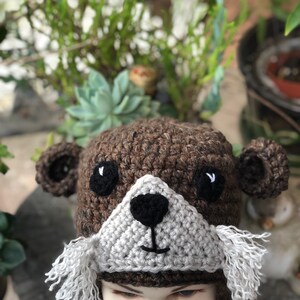 Sea Otter Hat, Crochet Sea Otter Hat, Crochet Otter Hat, Otter Beanie