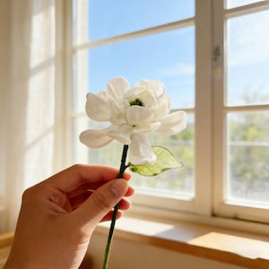 May include: A handcrafted white flower with soft petals and a green centre. The flower is held by a hand, with a green stem and a single green leaf. The background features a window with natural light.