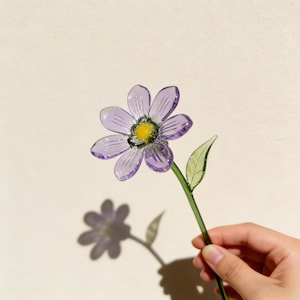 May include: A handmade glass flower with a purple daisy-like bloom, yellow centre, and green stem and leaf. The flower is held against a neutral background, casting a shadow of the flower.