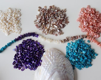 Peut inclure: Une collection de petites perles de coquillage irrégulières en blanc, marron, rose, violet et turquoise, disposées en tas avec un seul fil de perles multicolores et un grand coquillage nacré irisé au centre en bas.