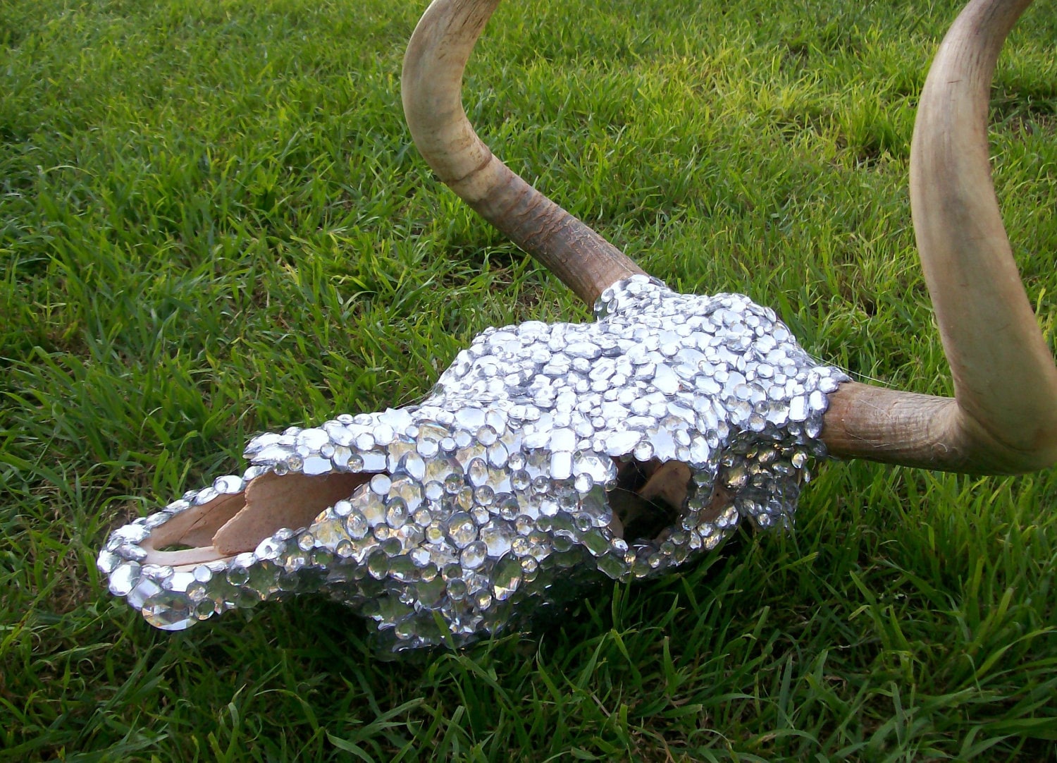 Rhinestone Cow Skull Etsy