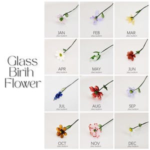 May include: A grid of twelve glass birth flowers, each representing a month. The flowers vary in color and design, with stems and leaves. The text "Glass Birth Flower" is on the left. Each flower is labeled with a month and the dimensions 20x2.5x20cm.