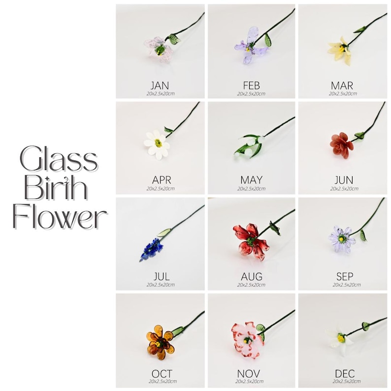 May include: A grid of twelve glass birth flowers, each representing a month. The flowers vary in color and design, with stems and leaves. The text "Glass Birth Flower" is on the left. Each flower is labeled with a month and the dimensions 20x2.5x20cm.