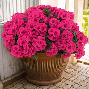 12PCS Artificial Rose Red Geranium Silk Flowers – Outdoor UV Resistant Faux Plants for Garden, Home, Kitchen & Table Centerpiece Decor