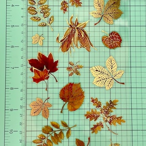Pu&ograve; includere: Una collezione di adesivi a tema autunnale con vari disegni di foglie nei toni dell'oro, del rosso e del marrone. Gli adesivi includono foglie d'acero, foglie di quercia e pannocchie di mais. Gli adesivi sono su uno sfondo a griglia.