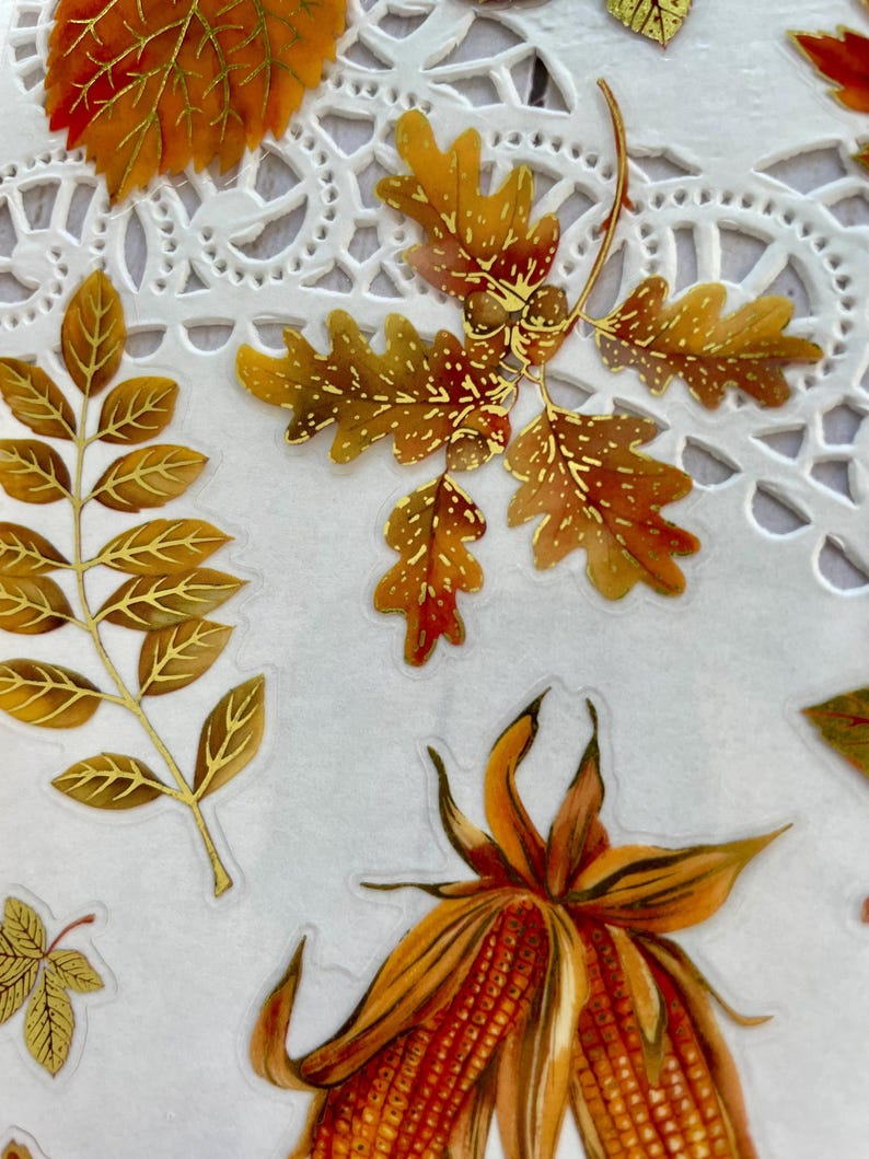 Pu&ograve; includere: Primo piano di adesivi a tema autunnale con illustrazioni dettagliate di foglie e mais. Le foglie sono in tonalit&agrave; arancioni, marroni e dorate, con intricati dettagli delle venature. Gli adesivi sono disposti su uno sfondo bianco e merlettato.