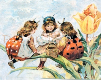 fairy picture, lady bug fairies,ladybird, download