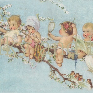 fairy download, baby fairies, blossoms, vintage baby