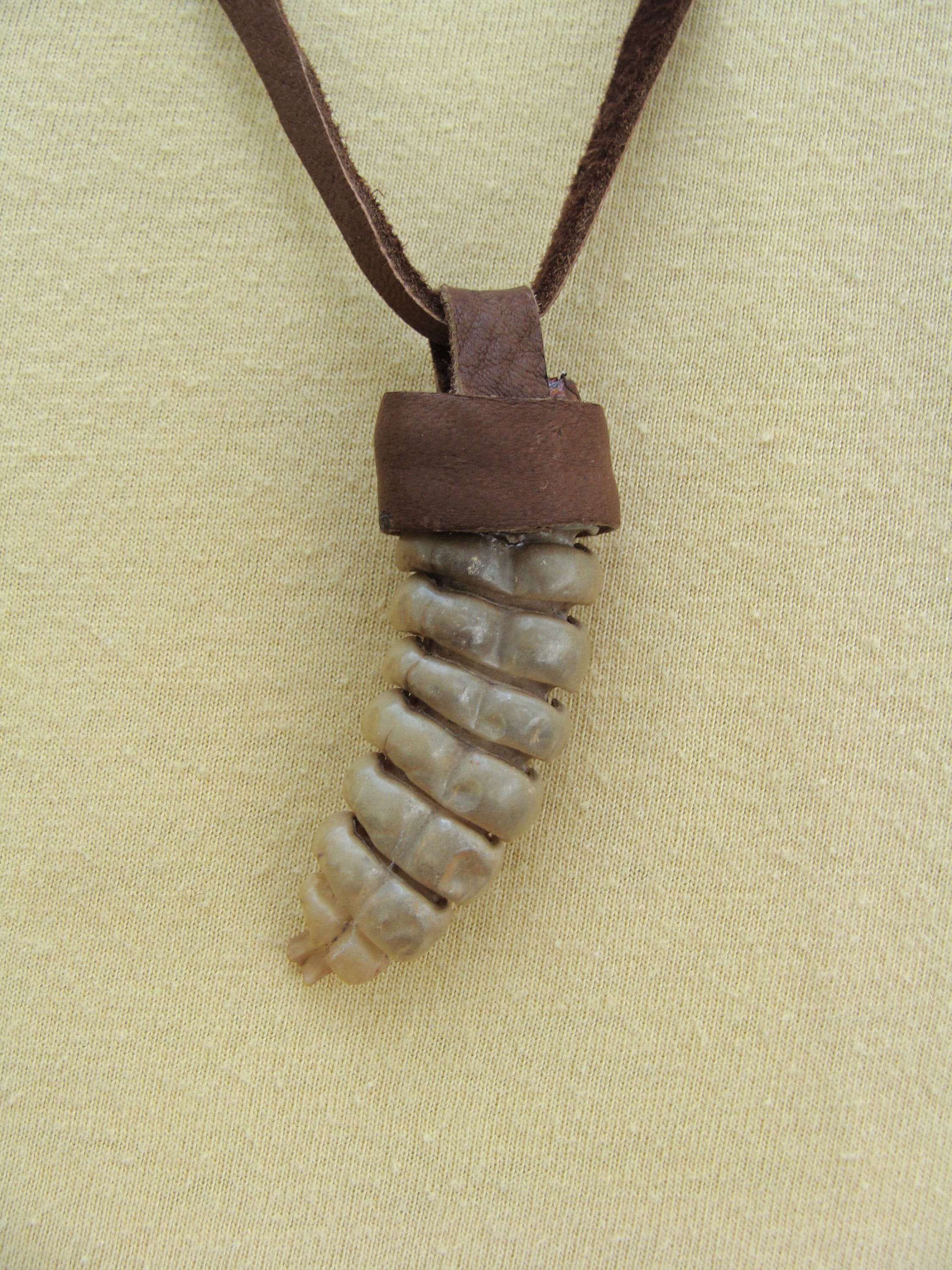 Western Diamondback Rattlesnake Rattle Necklace | eBay