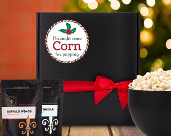 Christmas Food Gift Basket - Gourmet popcorn kernels and seasoning, custom Christmas popcorn kit for family, holiday movie marathon treats