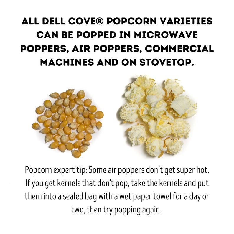 Popcorn in bulk gourmet popcorn for movie night at home, sustainably grown popcorn for wedding popcorn bar, popcorn for your popcorn bowl image 9