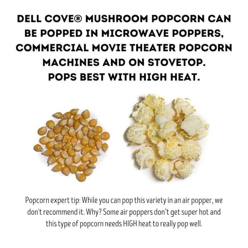 Mushroom Popcorn Kernels extra large popcorn for caramel and candied popcorn, mushroom popcorn for dinner, snacks, film nights & parties image 2