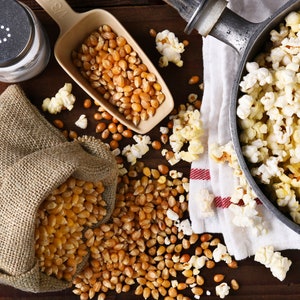 Popcorn kernels falling out of burlap bag next to scoop full of kernels, salt shaker and kettle filled with popped popcorn. Dell Cove Spices