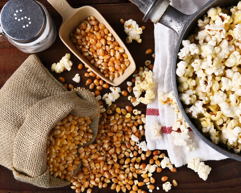 Popcorn kernels falling out of burlap bag next to scoop full of kernels, salt shaker and kettle filled with popped popcorn. Dell Cove Spices