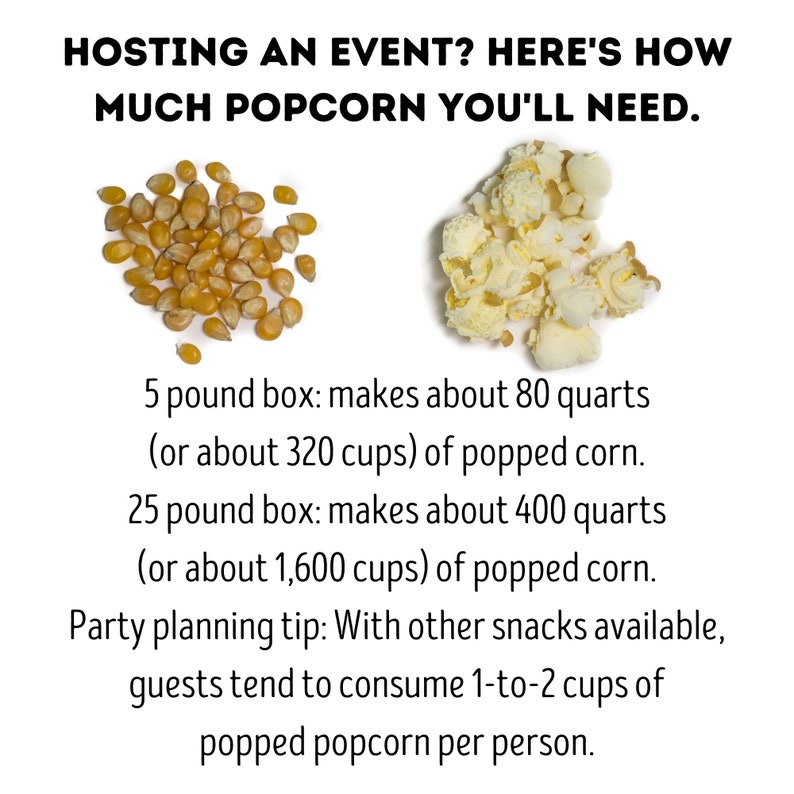 Popcorn in bulk gourmet popcorn for movie night at home, sustainably grown popcorn for wedding popcorn bar, popcorn for your popcorn bowl image 2
