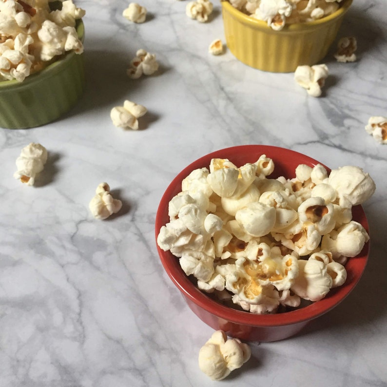Salted Caramel Popcorn Seasoning for a Caramel Corn Taste Etsy