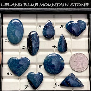 May include: A collection of Leland Blue Mountain Stone cabochons in various shapes, including oval, teardrop, heart, and triangular. The stones are a deep blue with white and gray inclusions. A US quarter is included for size reference.