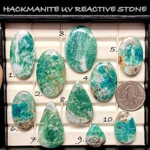 May include: A collection of ten hackmanite UV reactive stones in various shapes, including oval and teardrop. The stones display shades of green and blue with white and brown inclusions. A US quarter is included for size reference. The text "HACKMANITE UV REACTIVE STONE" is at the top.