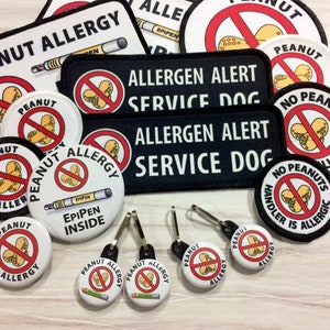 Epilepsy Medical Alert Bag Tag for Backpack Clip on Medication Inside Patch Tag Kids Emergency Kit Seizure Disorder Epilepsy Dog Tag image 10