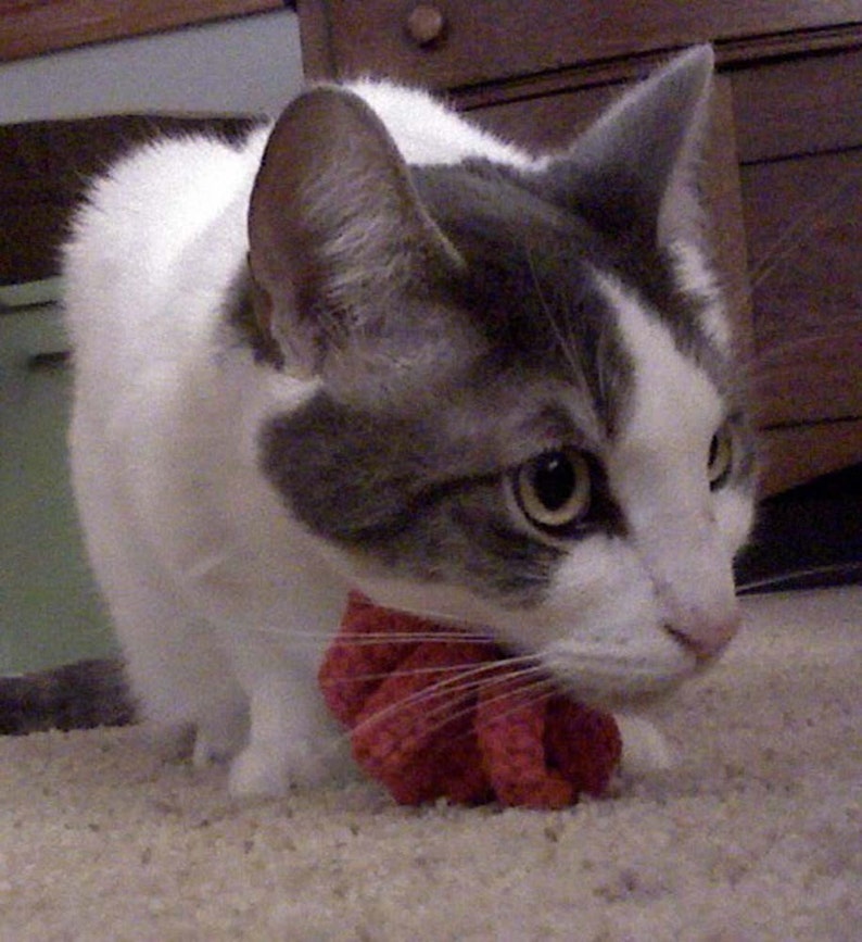 Kitty Jingle Bell Balls Cat Toys Etsy