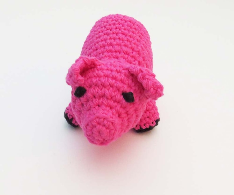 pig cat toy