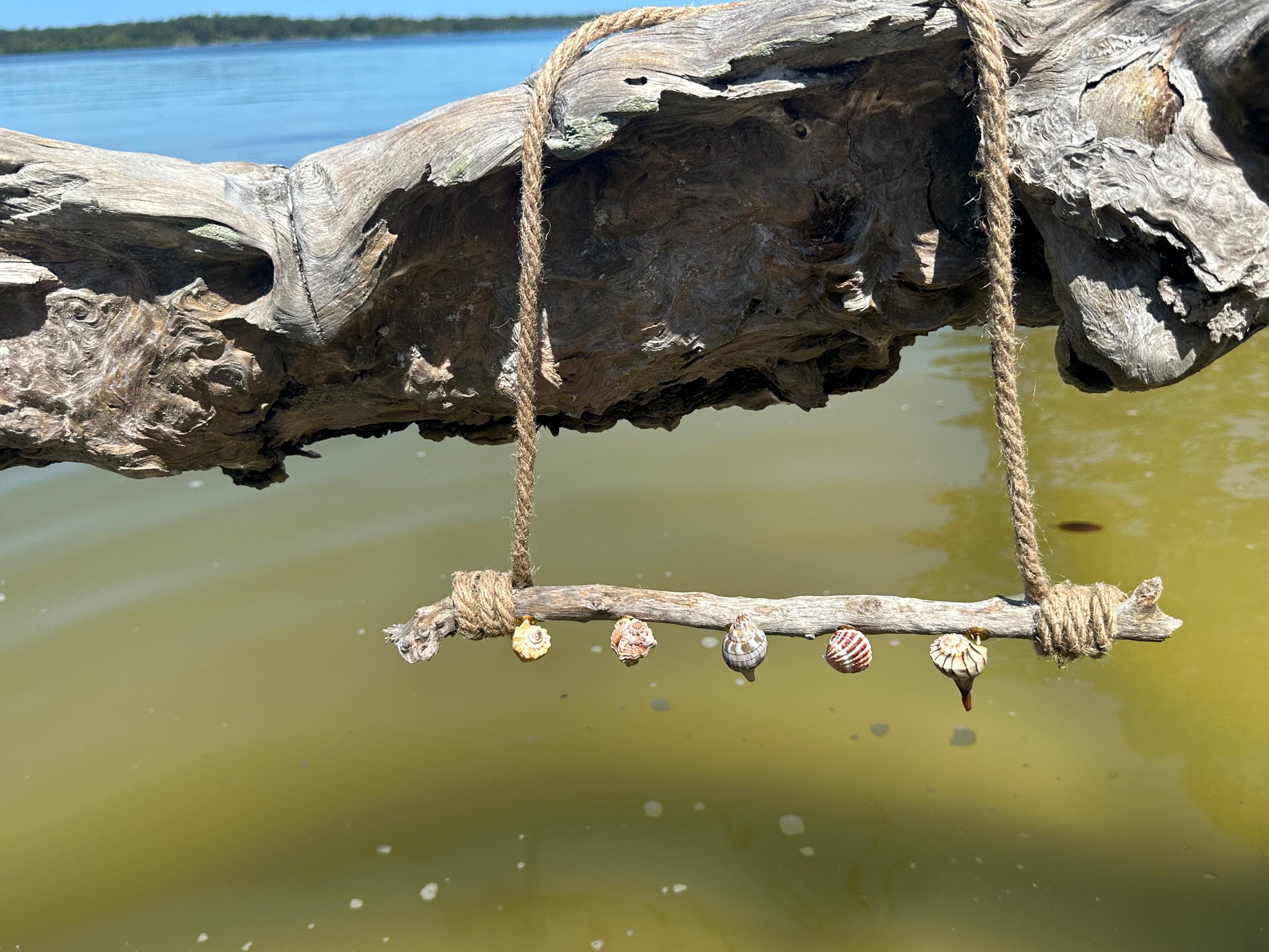 Seashell & Driftwood Swimwear/Clothing/Jewelry Hanger or Organizer Coastal Wall Decor