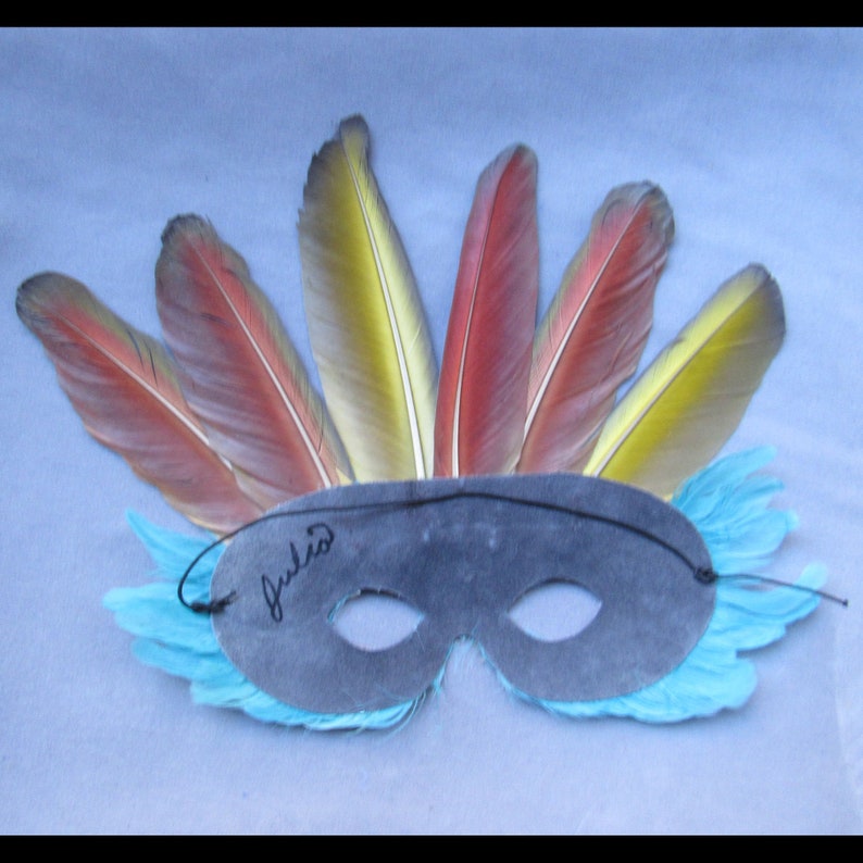 Turquoise Feather Mask Crowned by Macaw Feathers to become a fantasy character at a party or parade