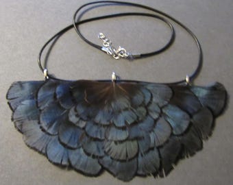 Tantalizing Reeves Pheasant iridescent blue feather Necklace to wear for Special Occasions.