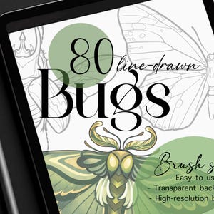 80 Bug & Insect Stamp Set for Procreate – Line-drawn Brushes for Nature and Botanical Illustration