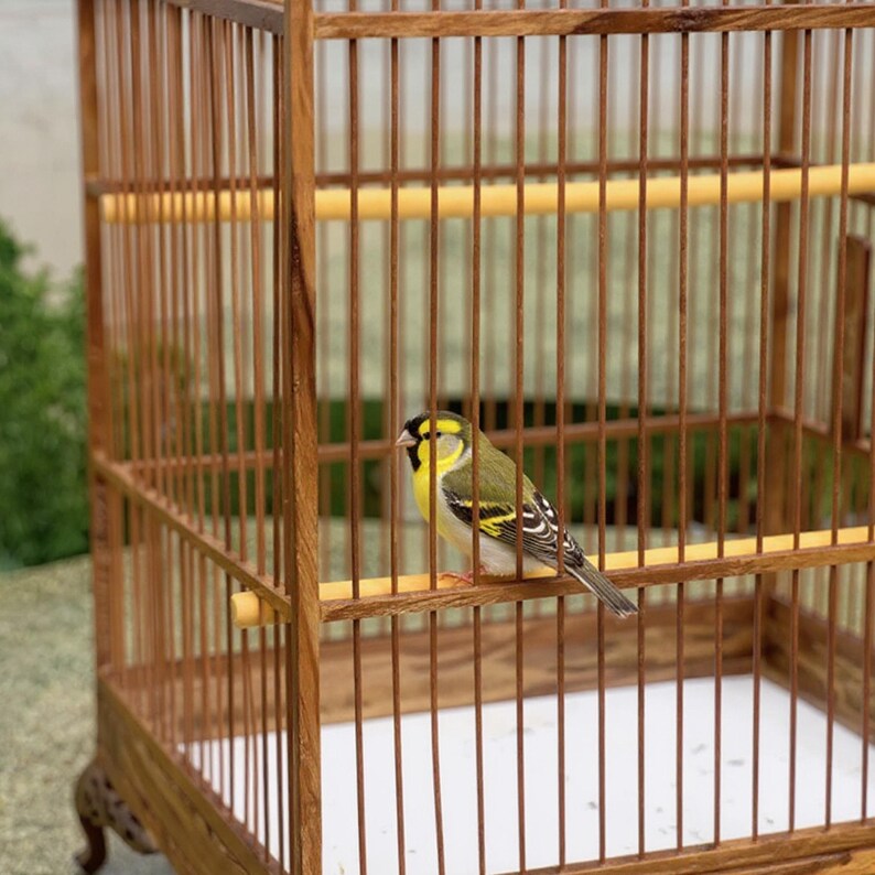 Bird Cages, Large Bird Cages, Parrot Cages, Bird Aviaries and Stainless ... - Handcrafted Birdcage With Macaw Bars