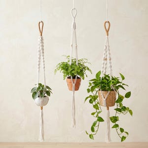 May include: Three macramé plant hangers with various potted plants. The hangers are white with wooden and tan accents. One pot is white, one is terracotta, and one is a woven basket. The plants have green foliage.