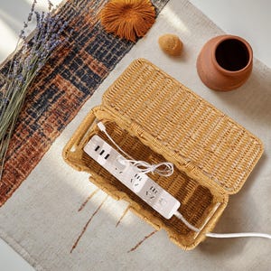 Pu&ograve; includere: Un organizer per prese multiple in vimini intrecciato con una multipresa bianca all'interno. L'organizer &egrave; rettangolare con un coperchio incernierato. La multipresa ha pi&ugrave; prese e porte USB. Lo sfondo include un tappeto fantasia, un piccolo vaso di terracotta e oggetti decorativi.