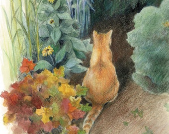 Orange cat sitting in a green Summer garden, looking curiously into the shadows - Art Reproduction (Print) - "Curiosity"