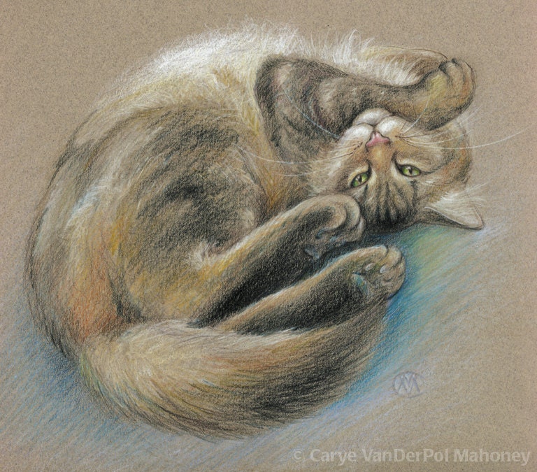 Playful Brown Gray And Black Maine Coon Cat Rolling And Etsy Ireland