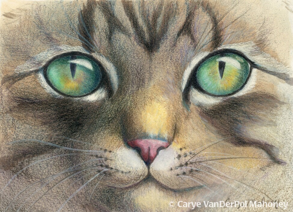 Green and Gold Eyes of a Tiger Striped Tabby Cat Close Up Etsy