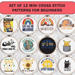 May include: A collection of 12 mini cross stitch patterns for beginners, each in a wooden hoop. Designs include a cat, panda, rainbow, and sun, with text such as "Purrrsist!" and "Life Has No Meaning." The hoops are ideal for crafting.