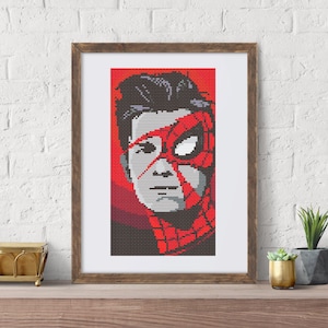 May include: A framed cross-stitch pattern featuring a split-face portrait of a person on one side and a red and black spider-web mask on the other. The design uses a pixelated style with a vibrant red background and dark shadows.