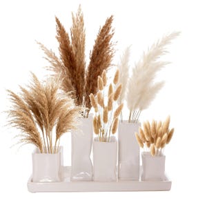 Può includere: Un'arrangiamento di erbe ornamentali secche in varie tonalità di marrone e crema, disposte in vasi di ceramica bianca. I vasi sono posizionati su un vassoio rettangolare bianco. L'arrangiamento include erba della pampa e altre texture piumate.