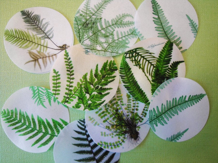 Edible Notebook Loose Leaf Paper Sheet Images Printed on Wafer