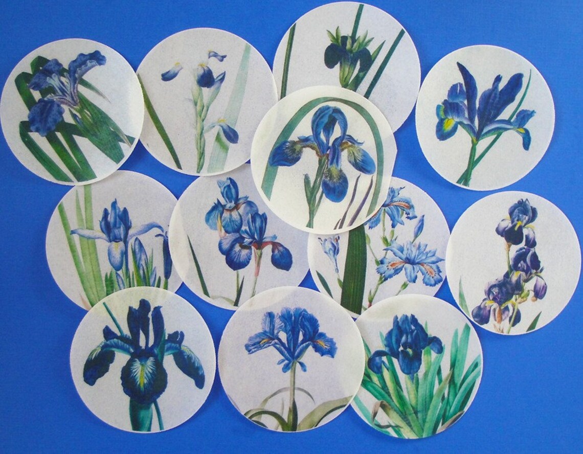Vintage Botanical Blue Iris Edible Image Wafer Papers Etsy